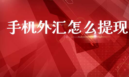 手机外汇怎么提现_https://wap.lxcailiao.com_融资担保_第1张
