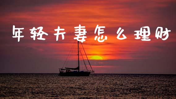 年轻夫妻怎么理财_https://wap.lxcailiao.com_财务管理_第1张