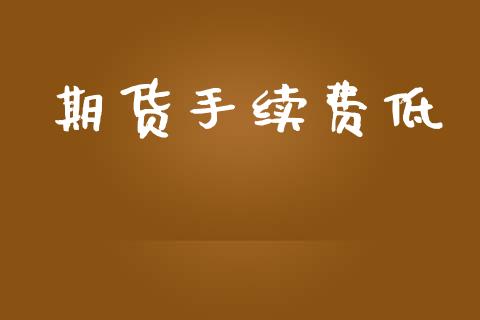 期货手续费低_https://wap.lxcailiao.com_股权投资_第1张