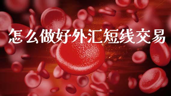 怎么做好外汇短线交易_https://wap.lxcailiao.com_融资担保_第1张
