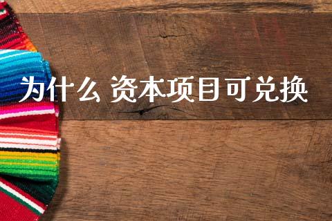 为什么 资本项目可兑换_https://wap.lxcailiao.com_财务管理_第1张