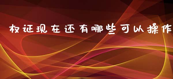权证现在还有哪些可以操作_https://wap.lxcailiao.com_融资担保_第1张