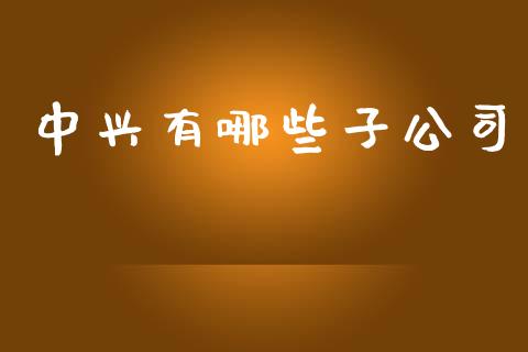 中兴有哪些子公司_https://wap.lxcailiao.com_融资担保_第1张