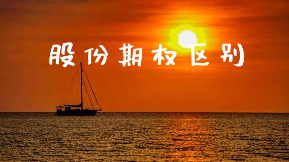 股份期权区别_https://wap.lxcailiao.com_融资担保_第1张