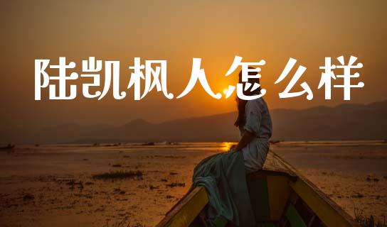 陆凯枫人怎么样_https://wap.lxcailiao.com_股权投资_第1张