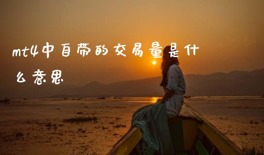 mt4中自带的交易量是什么意思_https://wap.lxcailiao.com_财务管理_第1张