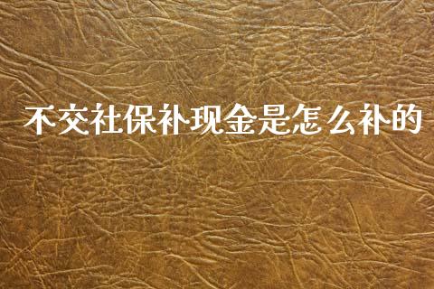 不交社保补现金是怎么补的_https://wap.lxcailiao.com_股权投资_第1张