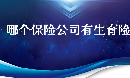 哪个保险公司有生育险_https://wap.lxcailiao.com_股权投资_第1张