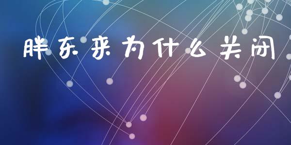 胖东来为什么关闭_https://wap.lxcailiao.com_财务管理_第1张