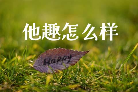 他趣怎么样_https://wap.lxcailiao.com_金融监管_第1张