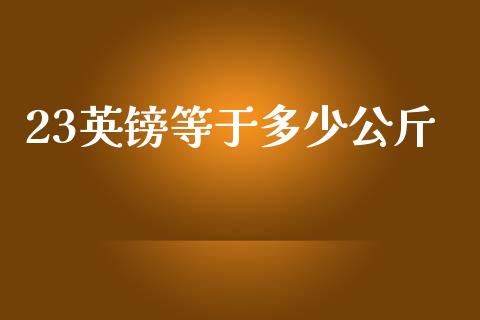 23英镑等于多少公斤_https://wap.lxcailiao.com_金融监管_第1张