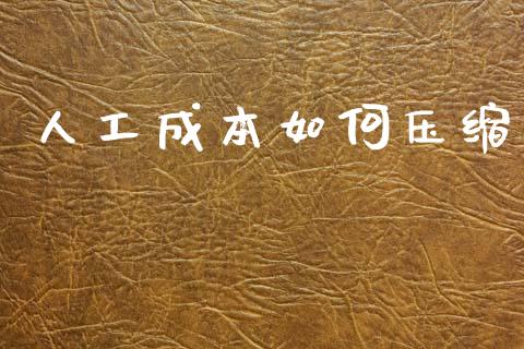 人工成本如何压缩_https://wap.lxcailiao.com_融资担保_第1张
