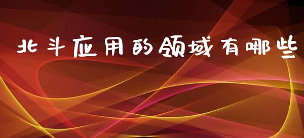 北斗应用的领域有哪些_https://wap.lxcailiao.com_财务管理_第1张
