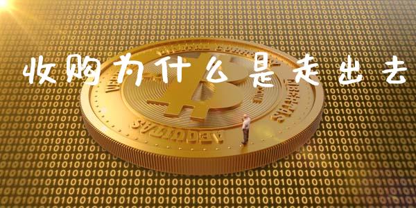 收购为什么是走出去_https://wap.lxcailiao.com_融资担保_第1张