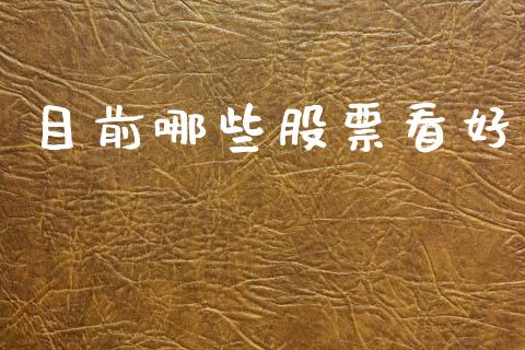目前哪些股票看好_融资担保_第1张_金融监管_融资担保_财务管理_股权投资 目前哪些股票看好_https://wap.lxcailiao.com_融资担保_第1张