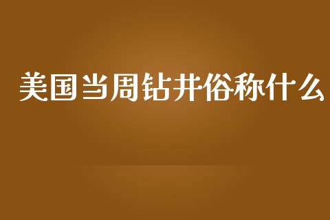 美国当周钻井俗称什么_https://wap.lxcailiao.com_融资担保_第1张