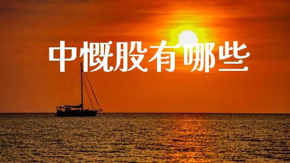 中慨股有哪些_https://wap.lxcailiao.com_股权投资_第1张