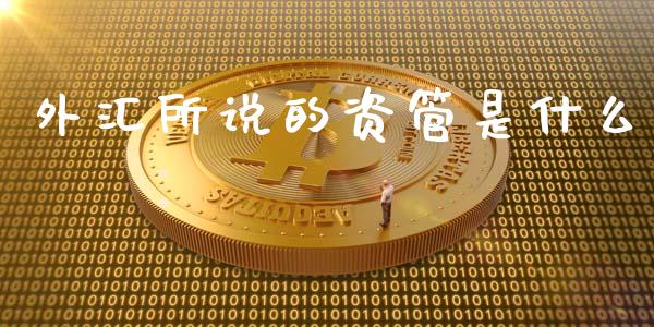 外汇所说的资管是什么_https://wap.lxcailiao.com_金融监管_第1张