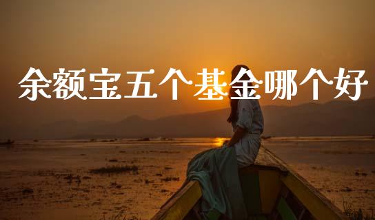 余额宝五个基金哪个好_https://wap.lxcailiao.com_金融监管_第1张