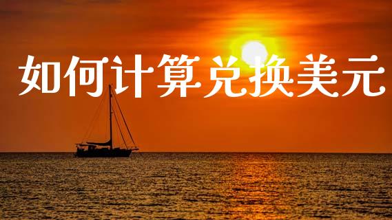 如何计算兑换美元_https://wap.lxcailiao.com_财务管理_第1张