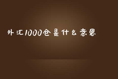外汇1000仓是什么意思_https://wap.lxcailiao.com_融资担保_第1张