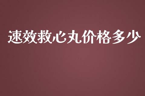 速效救心丸价格多少_https://wap.lxcailiao.com_融资担保_第1张