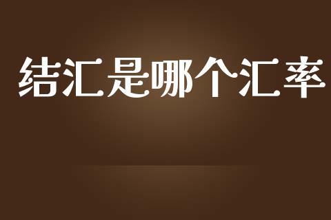 结汇是哪个汇率_https://wap.lxcailiao.com_融资担保_第1张