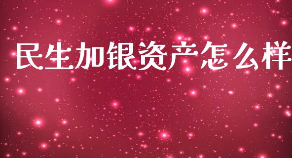 民生加银资产怎么样_https://wap.lxcailiao.com_金融监管_第1张