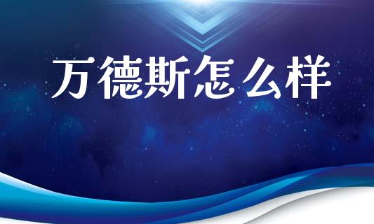 万德斯怎么样_https://wap.lxcailiao.com_金融监管_第1张