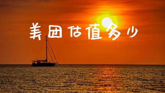 美团估值多少_https://wap.lxcailiao.com_财务管理_第1张