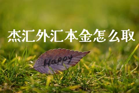 杰汇外汇本金怎么取_https://wap.lxcailiao.com_融资担保_第1张