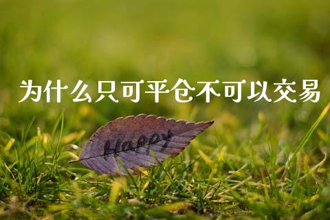 为什么只可平仓不可以交易_https://wap.lxcailiao.com_融资担保_第1张