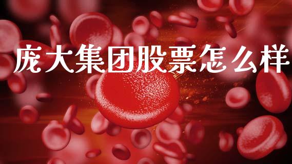 庞大集团股票怎么样_https://wap.lxcailiao.com_融资担保_第1张