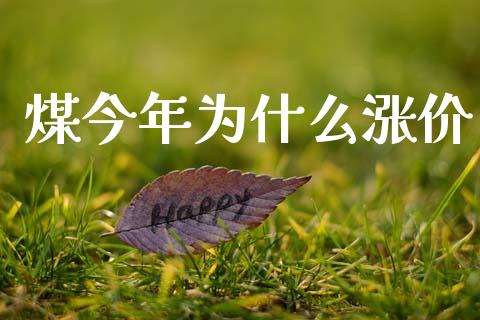 煤今年为什么涨价_https://wap.lxcailiao.com_财务管理_第1张