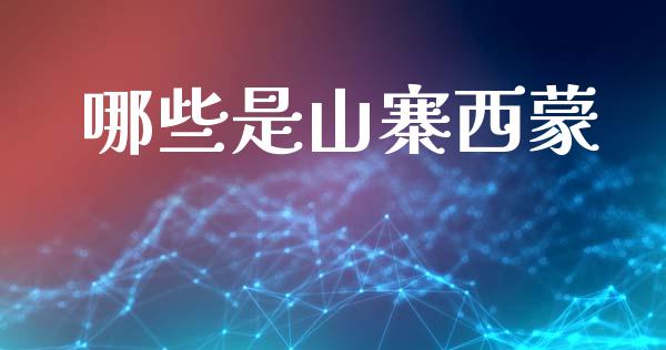 哪些是山寨西蒙_https://wap.lxcailiao.com_融资担保_第1张