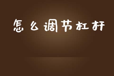 怎么调节杠杆_https://wap.lxcailiao.com_股权投资_第1张