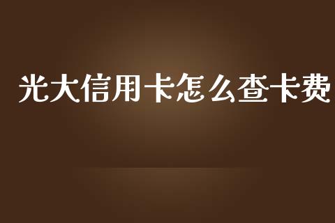 光大信用卡怎么查卡费_https://wap.lxcailiao.com_股权投资_第1张