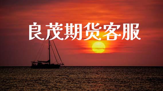 良茂期货客服_https://wap.lxcailiao.com_融资担保_第1张