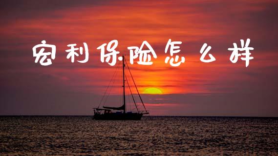 宏利保险怎么样_https://wap.lxcailiao.com_股权投资_第1张