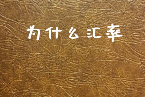 为什么汇率_https://wap.lxcailiao.com_融资担保_第1张