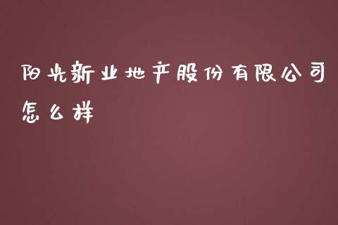 阳光新业地产股份有限公司怎么样_https://wap.lxcailiao.com_金融监管_第1张