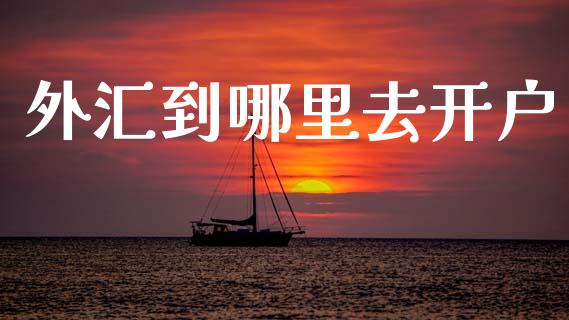 外汇到哪里去开户_https://wap.lxcailiao.com_股权投资_第1张