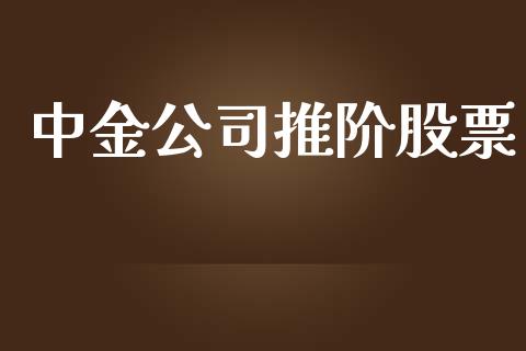 中金公司推阶股票_https://wap.lxcailiao.com_融资担保_第1张