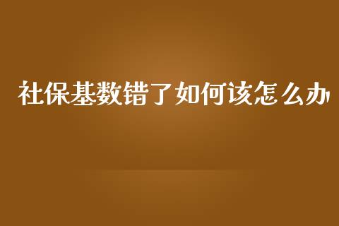 社保基数错了如何该怎么办_https://wap.lxcailiao.com_股权投资_第1张