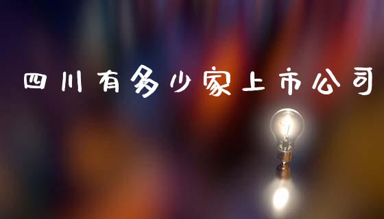四川有多少家上市公司_https://wap.lxcailiao.com_财务管理_第1张