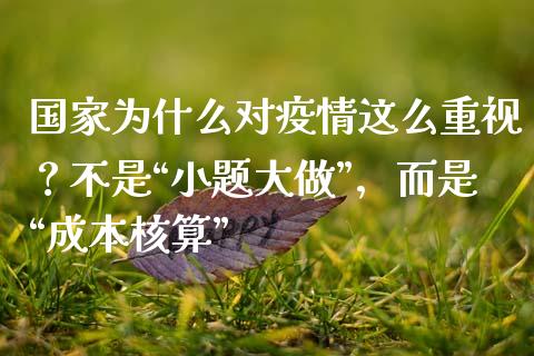 国家为什么对疫情这么重视？不是“小题大做”，而是“成本核算”_https://wap.lxcailiao.com_融资担保_第1张