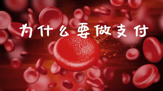 为什么要做支付_https://wap.lxcailiao.com_金融监管_第1张