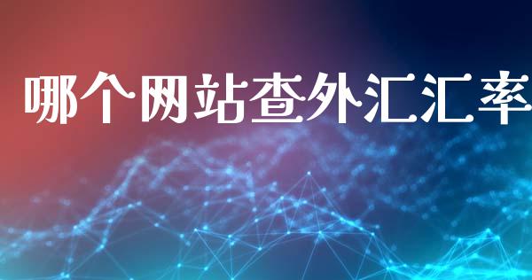 哪个网站查外汇汇率_https://wap.lxcailiao.com_融资担保_第1张