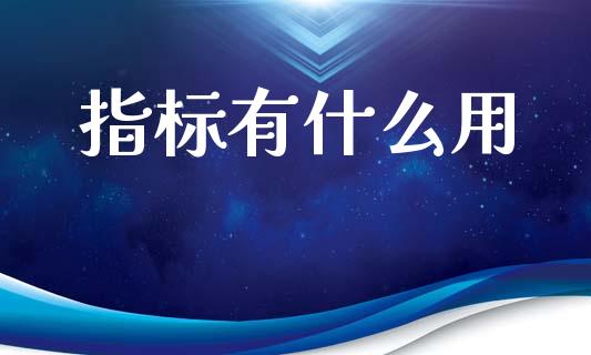 指标有什么用_https://wap.lxcailiao.com_财务管理_第1张