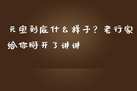元宝到底什么样子？老行家给你掰开了讲讲_https://wap.lxcailiao.com_融资担保_第1张
